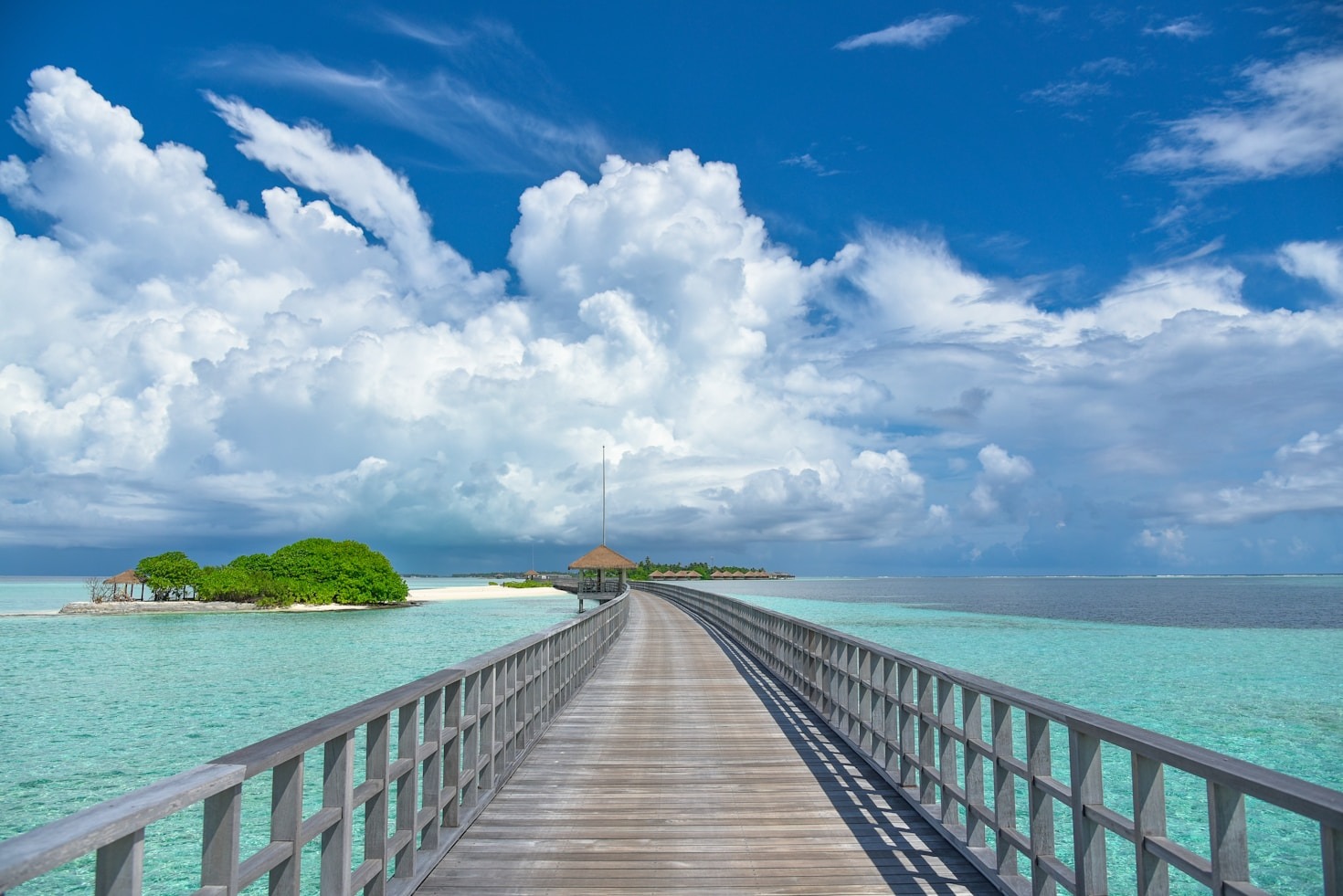 Navigating The World With Authentic Insight